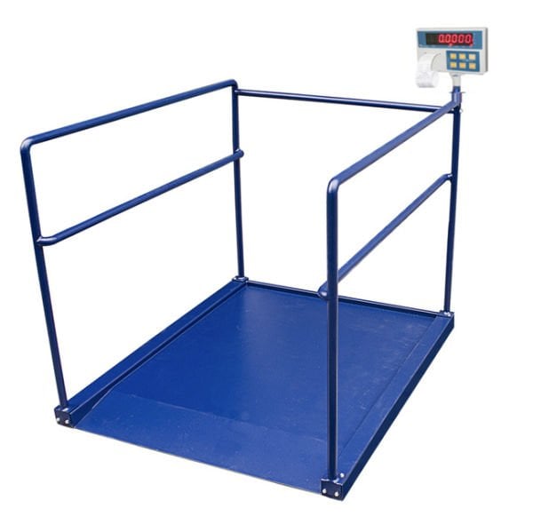 HWP 300 Kg. 90x120 Yazıcılı Diyaliz Baskülü (Tek Rampalı)